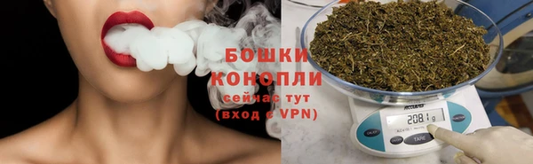 spice Медногорск