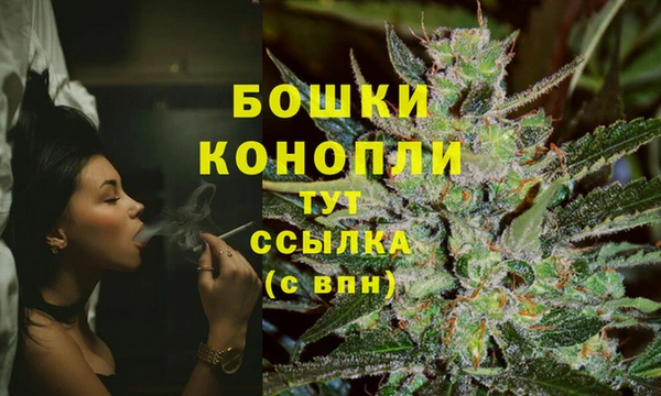 spice Медногорск
