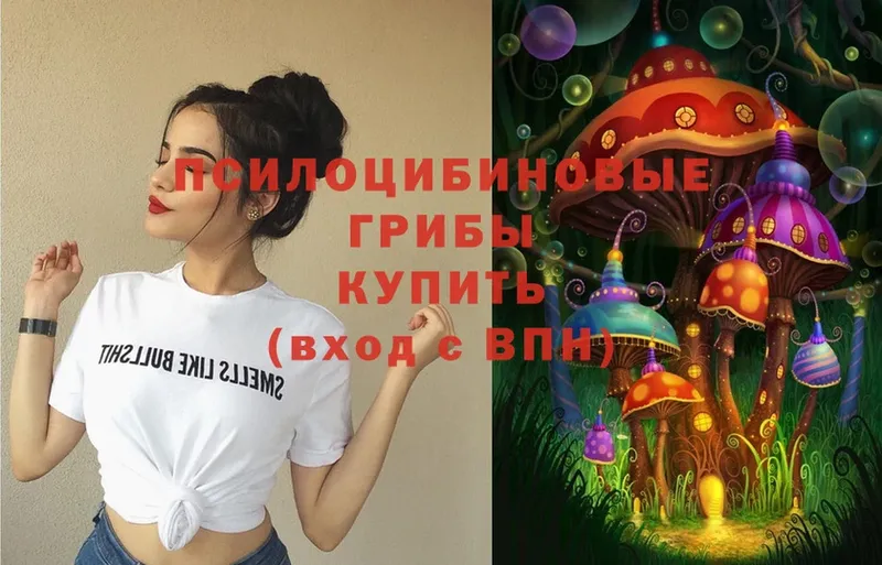 Галлюциногенные грибы Magic Shrooms  купить наркотик  Гаджиево 